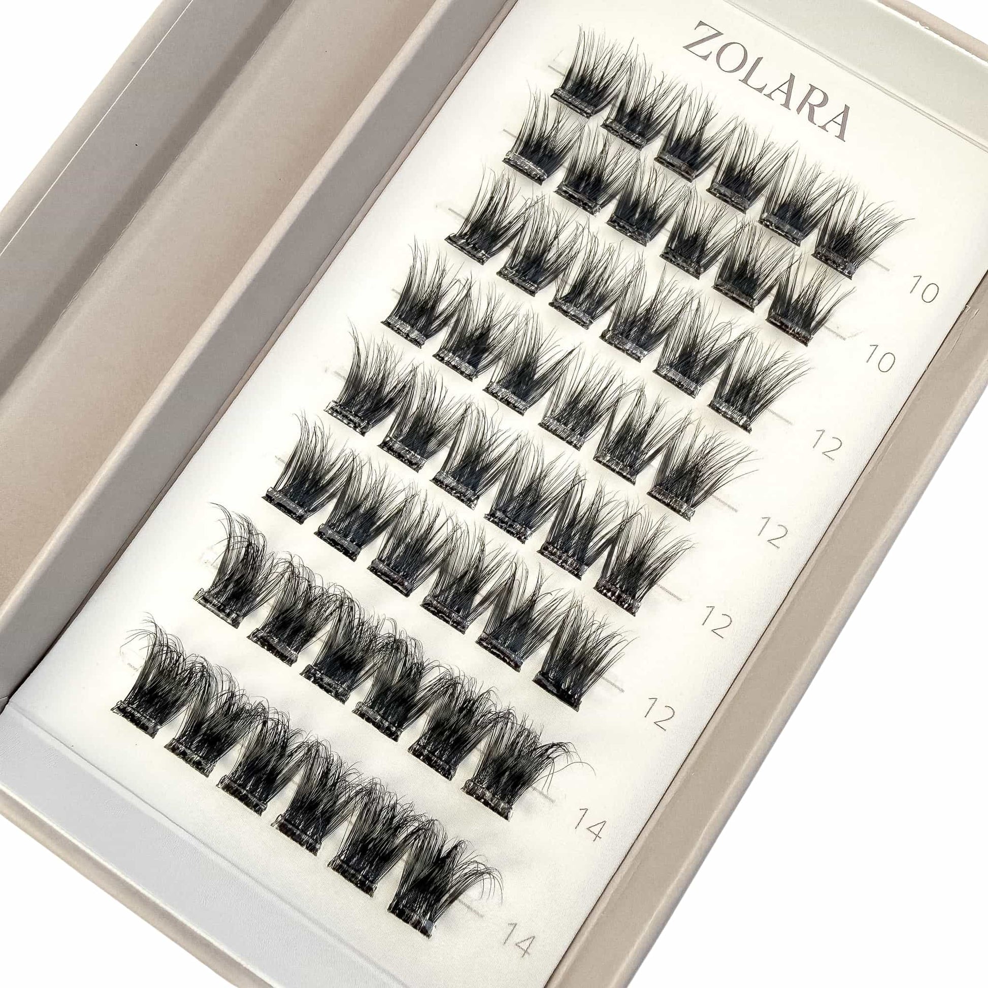 BOLD cluster lashes packaging by Zolara Beauty