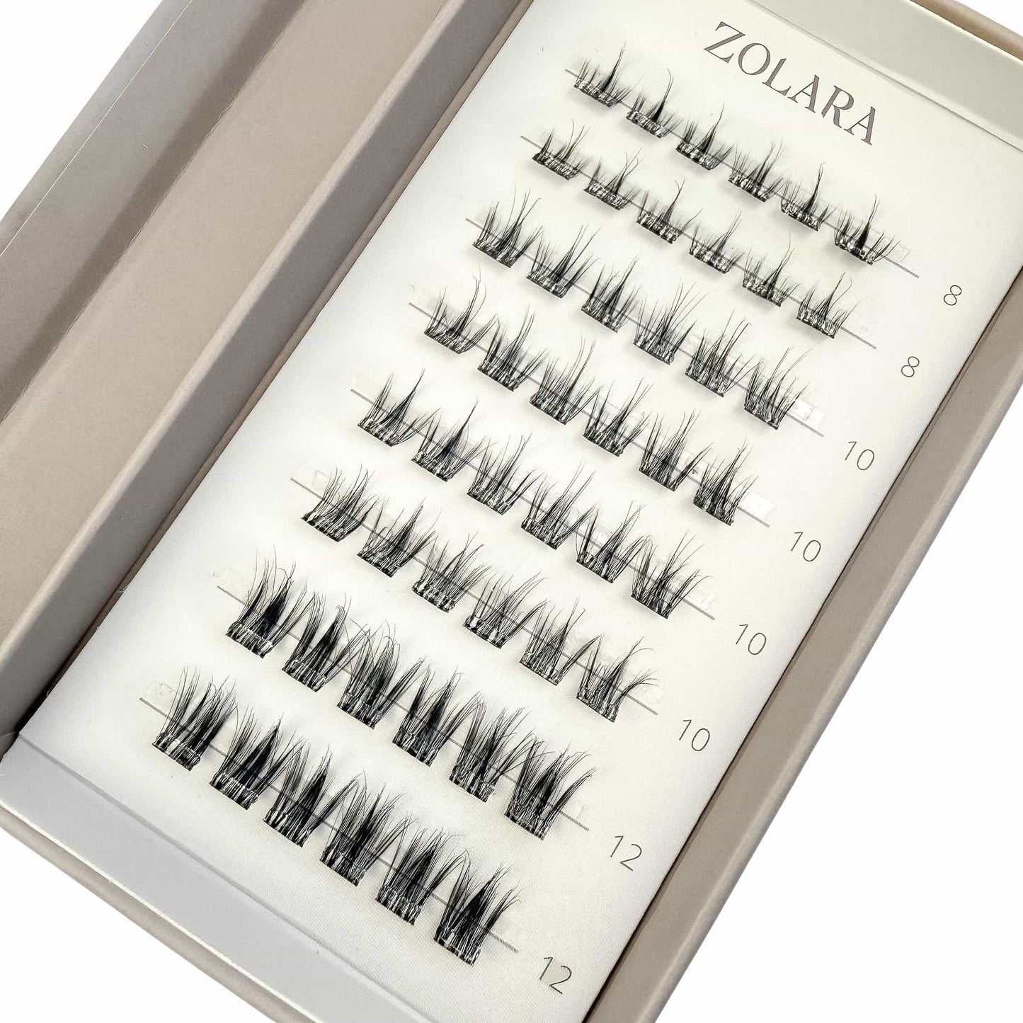 DEFINED cluster lashes packaging by Zolara Beauty